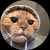 lethallkitten